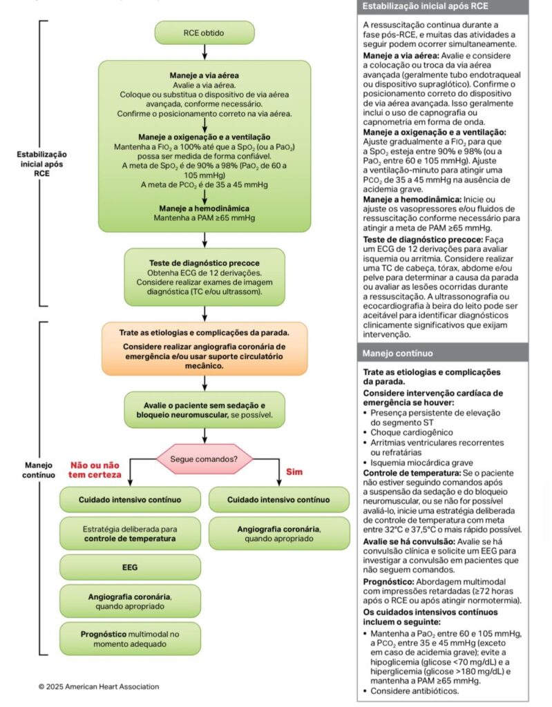 Figura 3 - algoritmo de cuidados pos-PCR em adultos